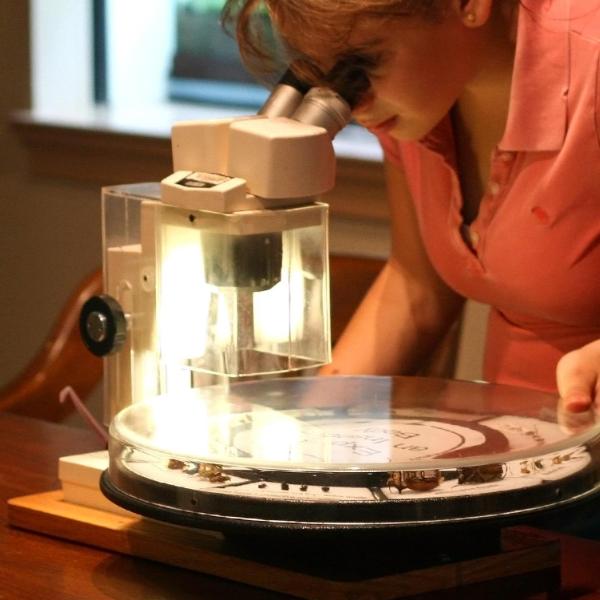 Cómo construir un microscopio USB