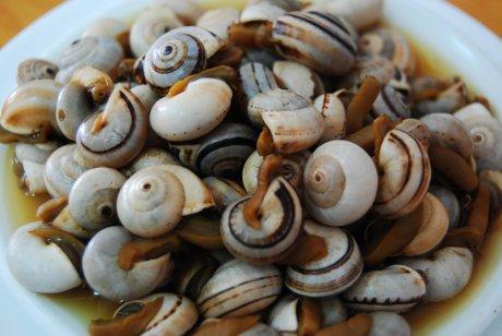 Cómo hacer caracoles al champagne