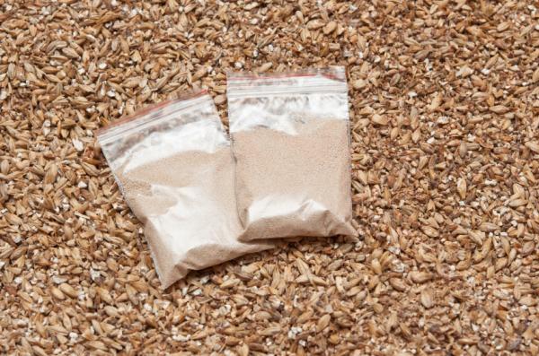 Remedios caseros para la seborrea en la cara - Levadura de cerveza