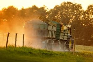 ¿Por qué estornudamos? - Paso 4