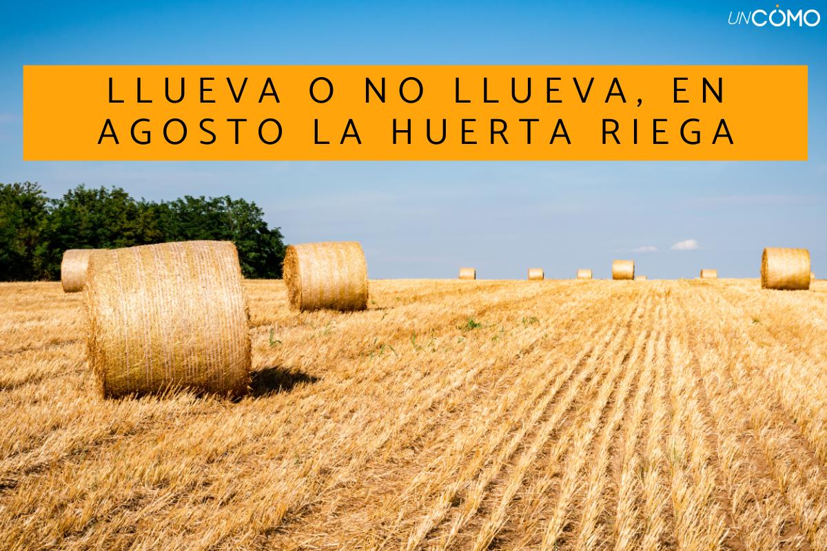 Refranes de agosto: explora los dichos populares más conocidos de este mes de verano