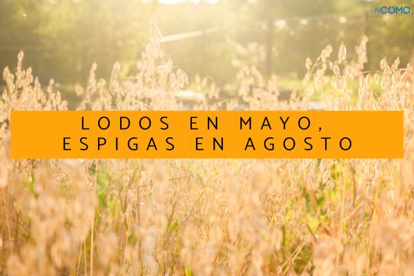 Refranes de agosto: explora los dichos populares más conocidos de este mes de verano - Refranes de agosto meteorológicos