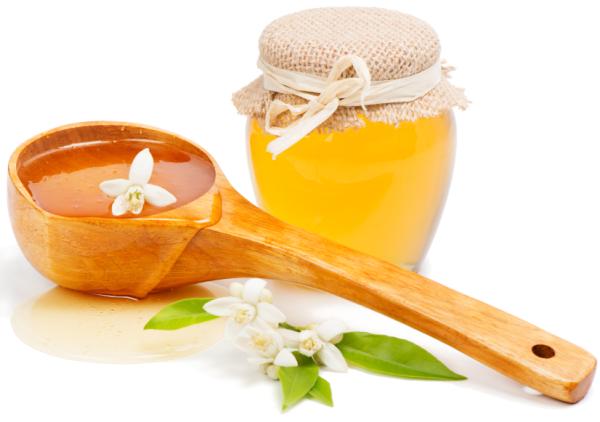 Mascarilla de yogur y miel para el cabello - Beneficios y propiedades de la miel para el pelo