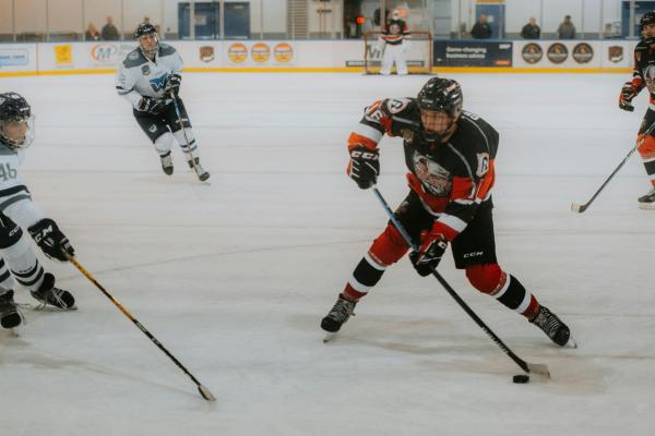 Tipos de patinaje: descubre todas sus modalidades y características - Hockey sobre hielo