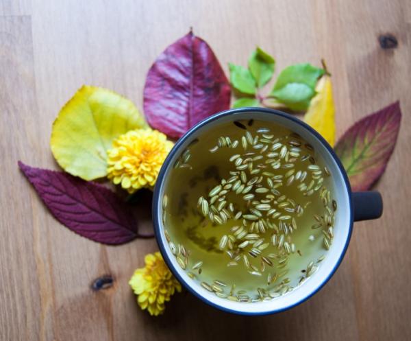 Qué infusiones son buenas para la diarrea - Infusiones para la diarrea: hinojo