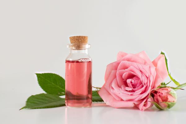 Agua de rosas para la cara: beneficios y cómo se aplica