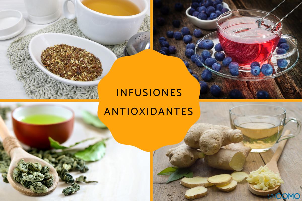 Las mejores infusiones antioxidantes