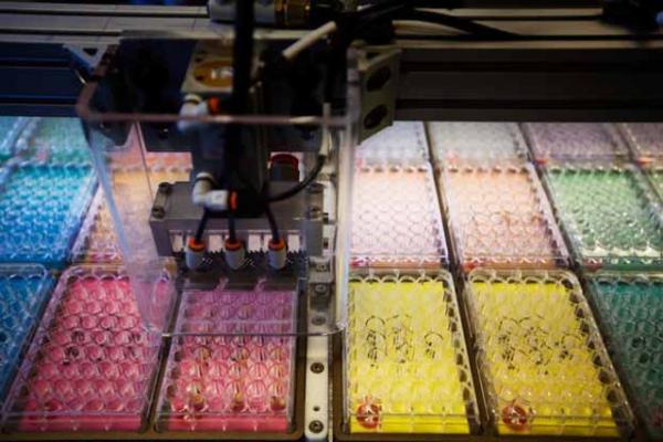 Por qué son buenos los OGM