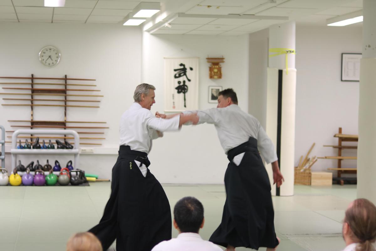 Qué es el aikido, para qué sirve y en qué se diferencia del karate