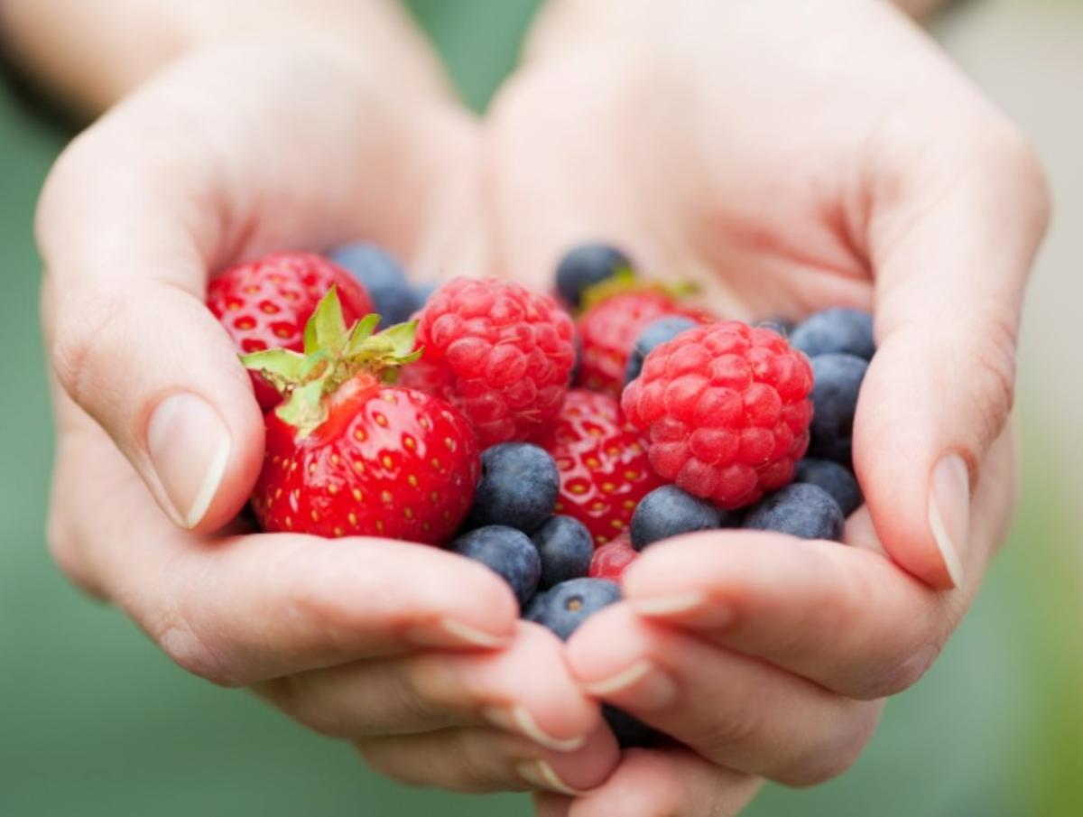 Cuáles son los frutos rojos