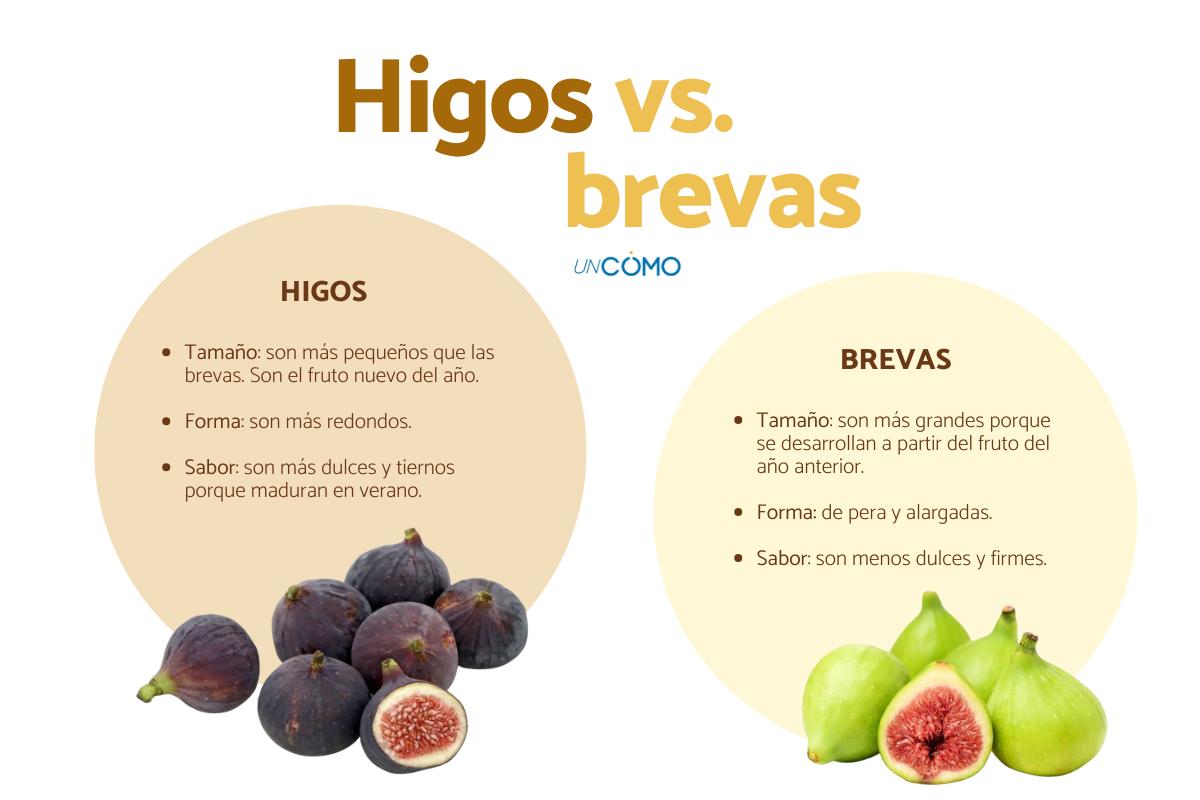 Diferencia entre higos y brevas: cómo distinguirlos y cuándo se recogen