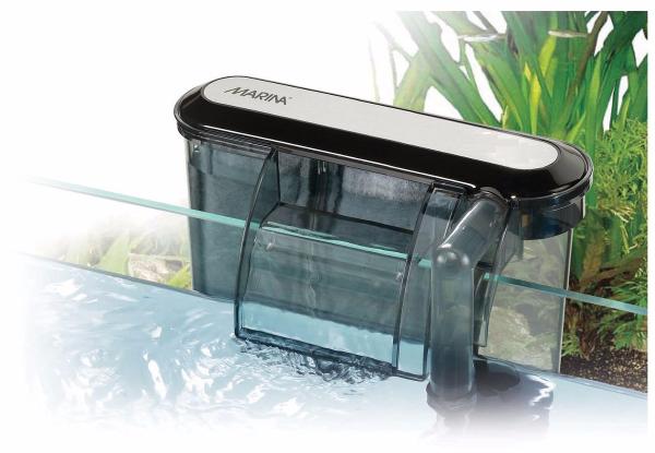 Por qué se mueren los peces de mi acuario - La limpieza del acuario