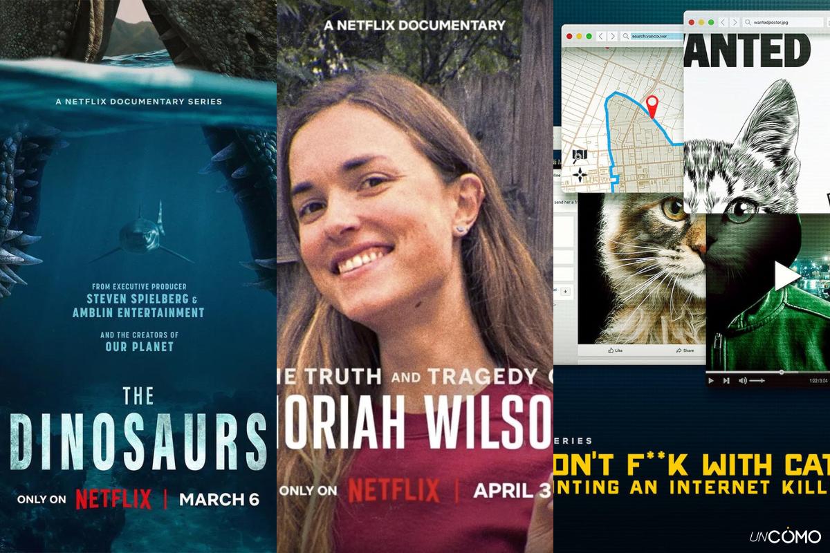 Ranking de los mejores documentales de Netflix que no te puedes perder este 2026