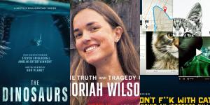 Ranking de los mejores documentales de Netflix que no te puedes perder este 2026