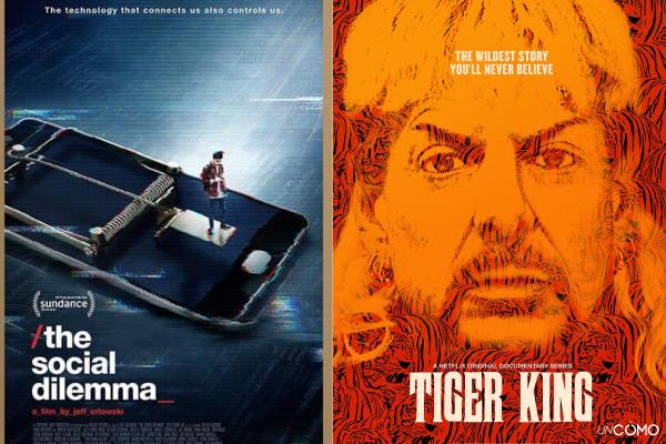 Ranking de los mejores documentales de Netflix que no te puedes perder este 2026 - Rey Tigre (2020)