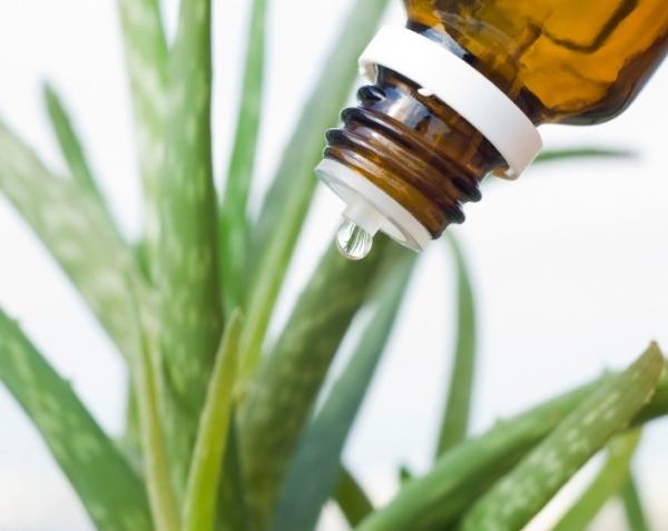 Cómo usar la sábila para la sinusitis