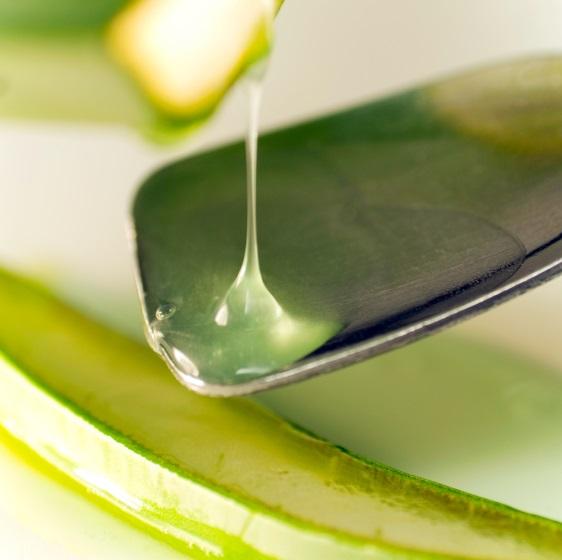 Cómo usar la sábila para la sinusitis - Paso 2
