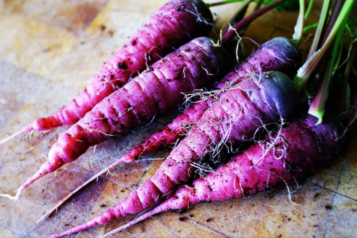 ¿Cuál es el color original de la zanahoria? ¿Por qué cambiaron de color?