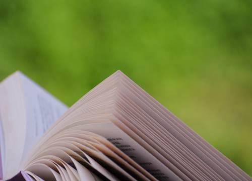 Cómo elegir un libro para un adolescente