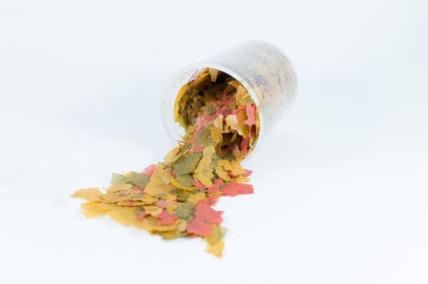 Por qué mi pez betta no come y no se mueve - No le gusta la comida