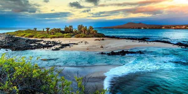 Estas son las 10 islas más bonitas del mundo según la UNESCO - Islas Galápagos