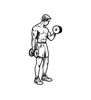 Cómo hacer ejercicios con mancuernas para los brazos - Paso 2