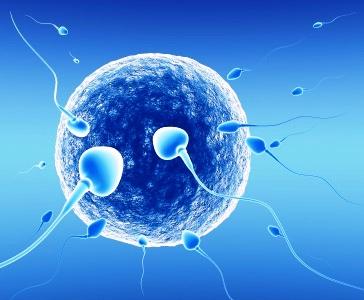 Cómo hacer una prueba de fertilidad masculina en casa