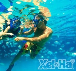 Qué visitar en el parque Xel-Há