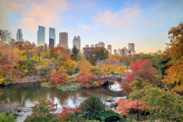 Actividades para hacer en otoño - En la ciudad