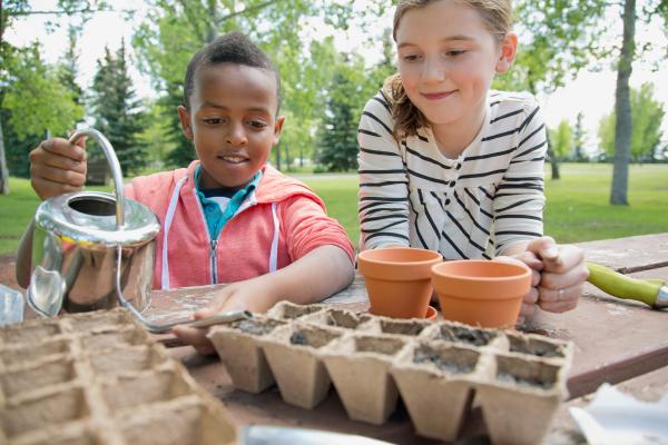 Actividades para hacer en otoño - Huerto otoñal