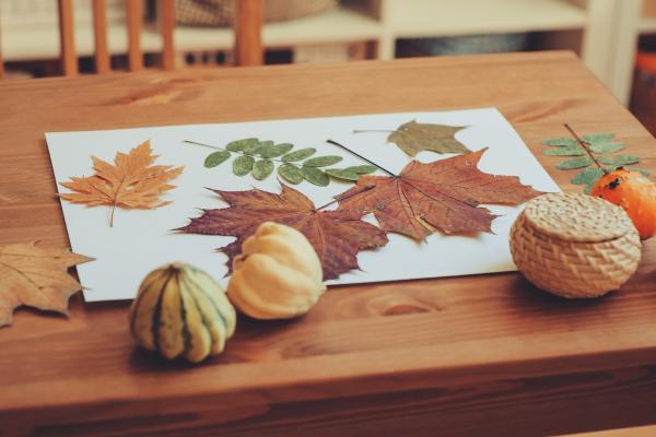 Actividades para hacer en otoño - Manualidades de otoño