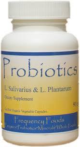 Para qué sirven los probióticos - Para que sirven el probióticos