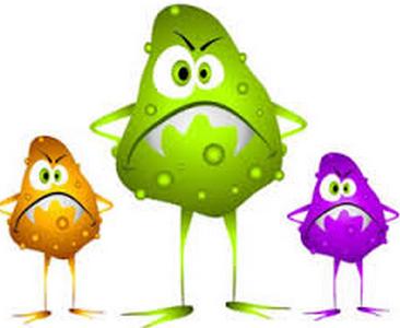 Para qué sirven los probióticos