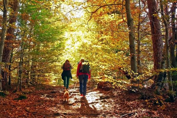 Actividades para hacer en otoño - Senderismo