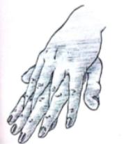 Cómo aplicar la crema de manos - Paso 3