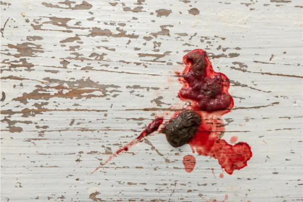 por qué mi cachorro hace caca de mucosidad