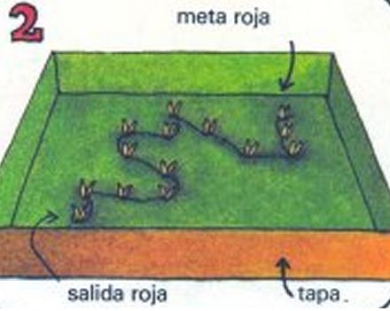 Cómo hacer el juego de encontrar la luz - Paso 2