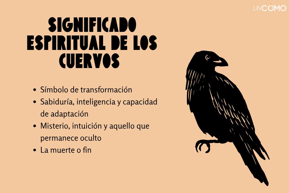 Significado espiritual de los cuervos: qué representa este animal