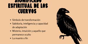 Significado espiritual de los cuervos: qué representa este animal