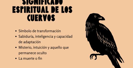 Significado espiritual de los cuervos: qué representa este animal