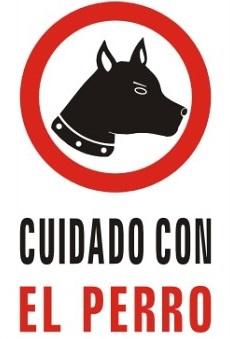 cómo evito que mi perro gampr armenio muerda sillas