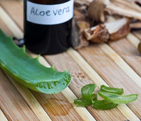 Remedios caseros para hidratar las axilas - Aloe vera para hidratar las axilas