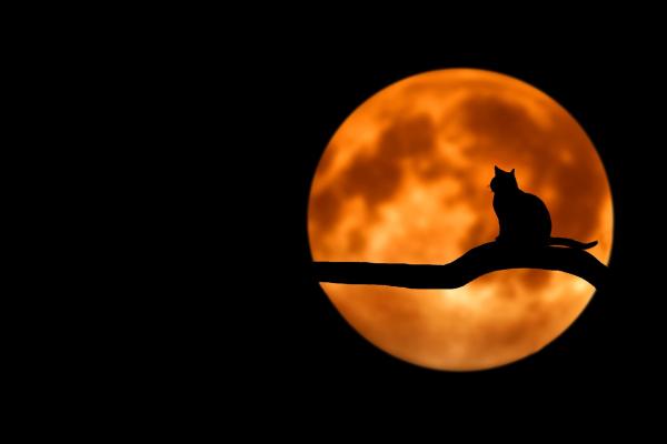 Qué significa la luna roja espiritualmente - Significado espiritual de la luna roja