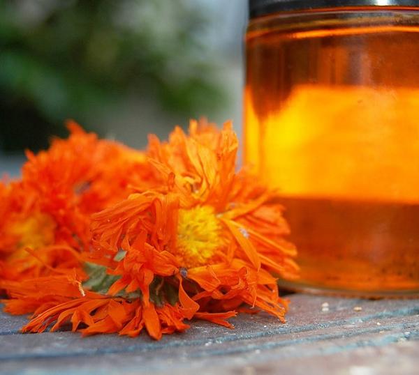 Cómo hacer champú casero para cabello seco - Champú de aceite de almendras y caléndula para cabello seco