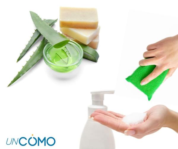 Cómo hacer lavavajillas casero - Cómo hacer lavavajillas casero con aloe vera