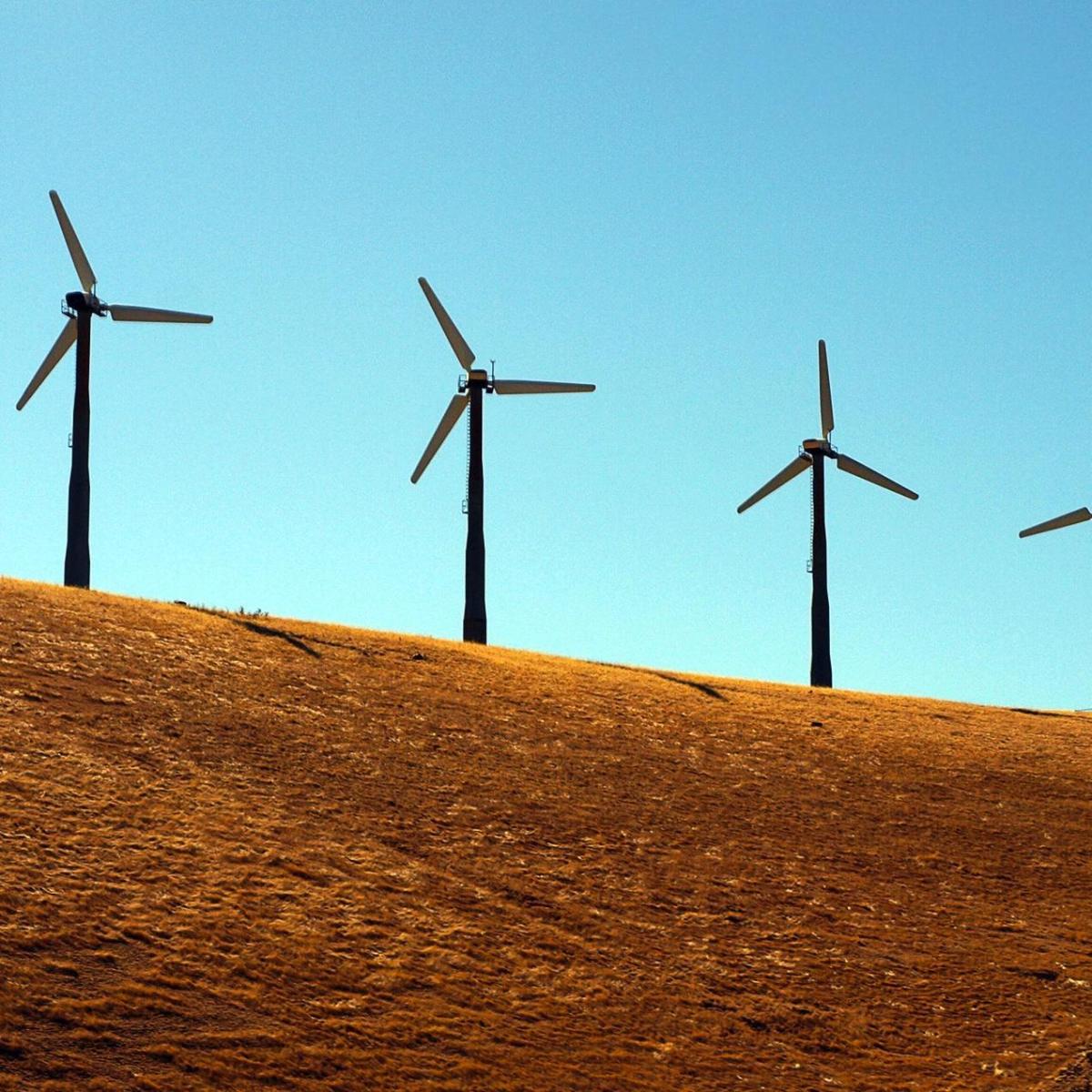 Cómo hacer proyectos verdes uno mismo