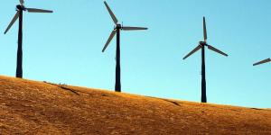 Cómo hacer proyectos verdes uno mismo