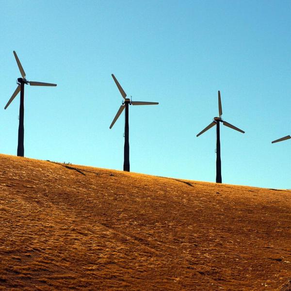 Cómo hacer proyectos verdes uno mismo