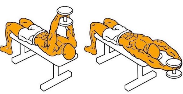 Cómo tonificar los pectorales - Paso 2