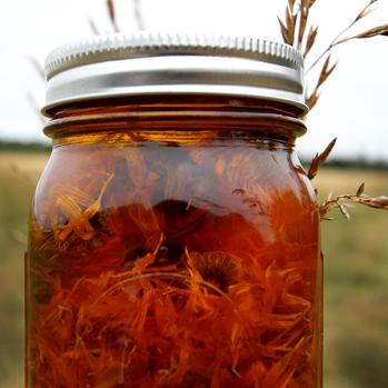 Cómo hacer aceite de caléndula - Paso 4